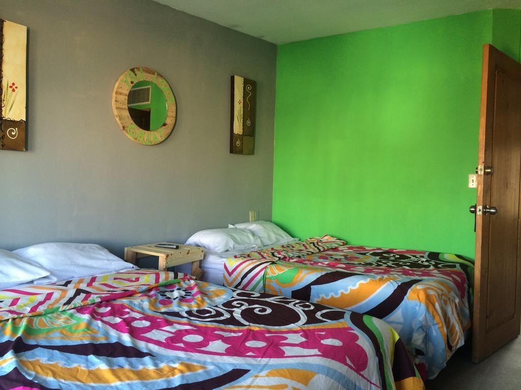 Bajas Cactus Hostel กาโบซานลูกัส ห้อง รูปภาพ