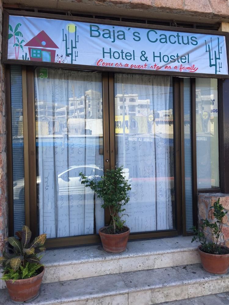 Bajas Cactus Hostel กาโบซานลูกัส ภายนอก รูปภาพ
