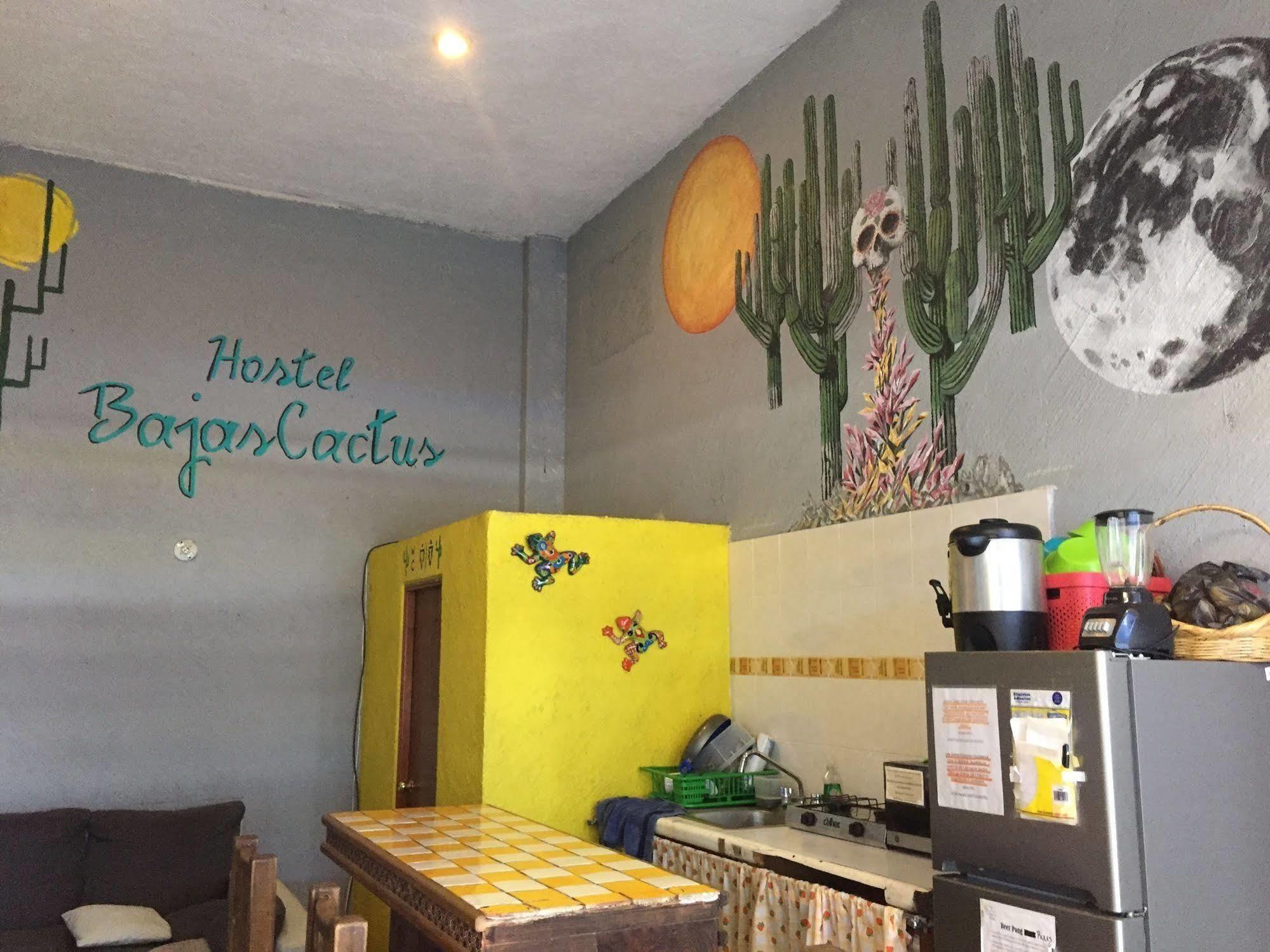 Bajas Cactus Hostel กาโบซานลูกัส ภายนอก รูปภาพ
