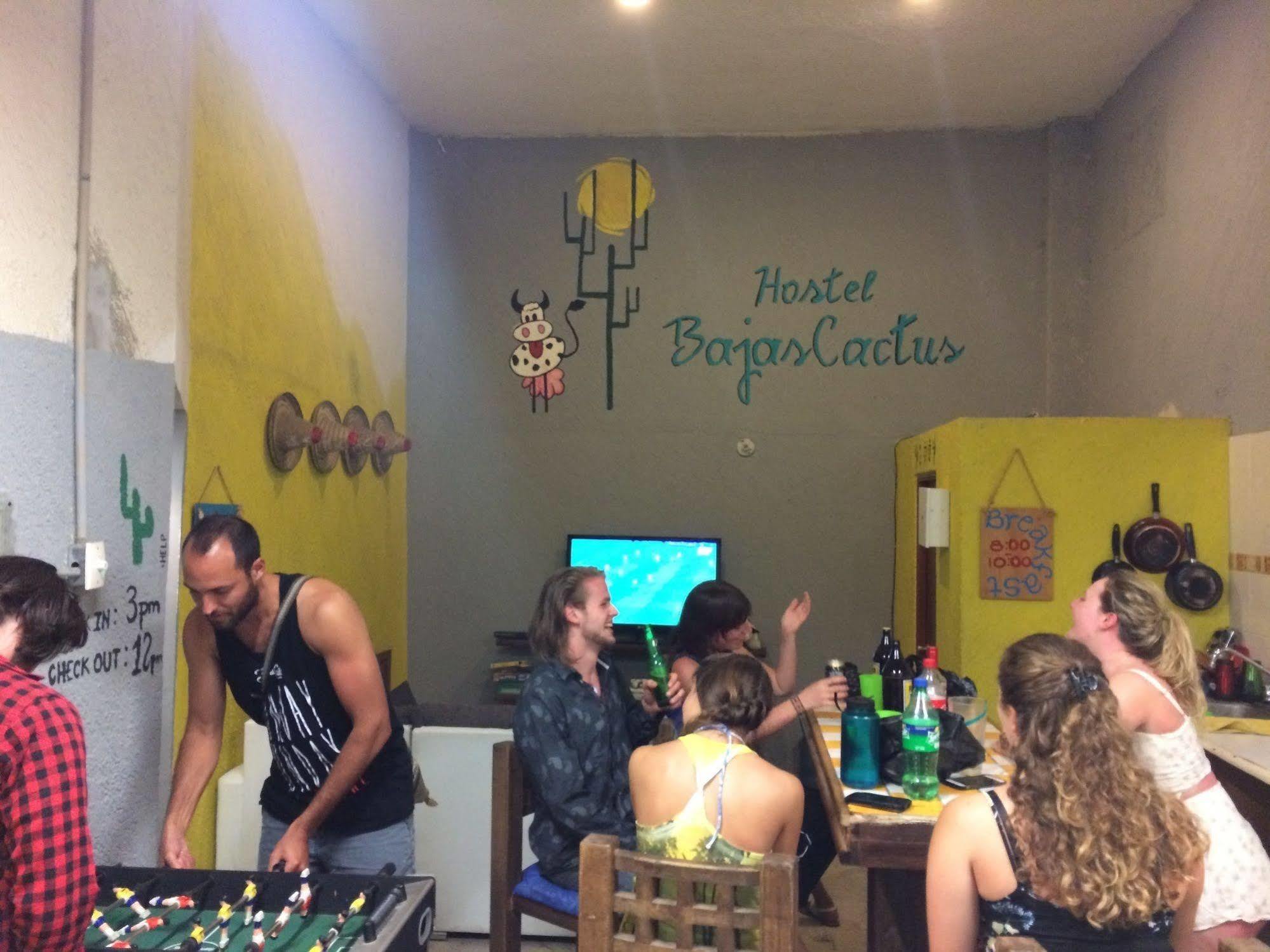 Bajas Cactus Hostel กาโบซานลูกัส ภายนอก รูปภาพ