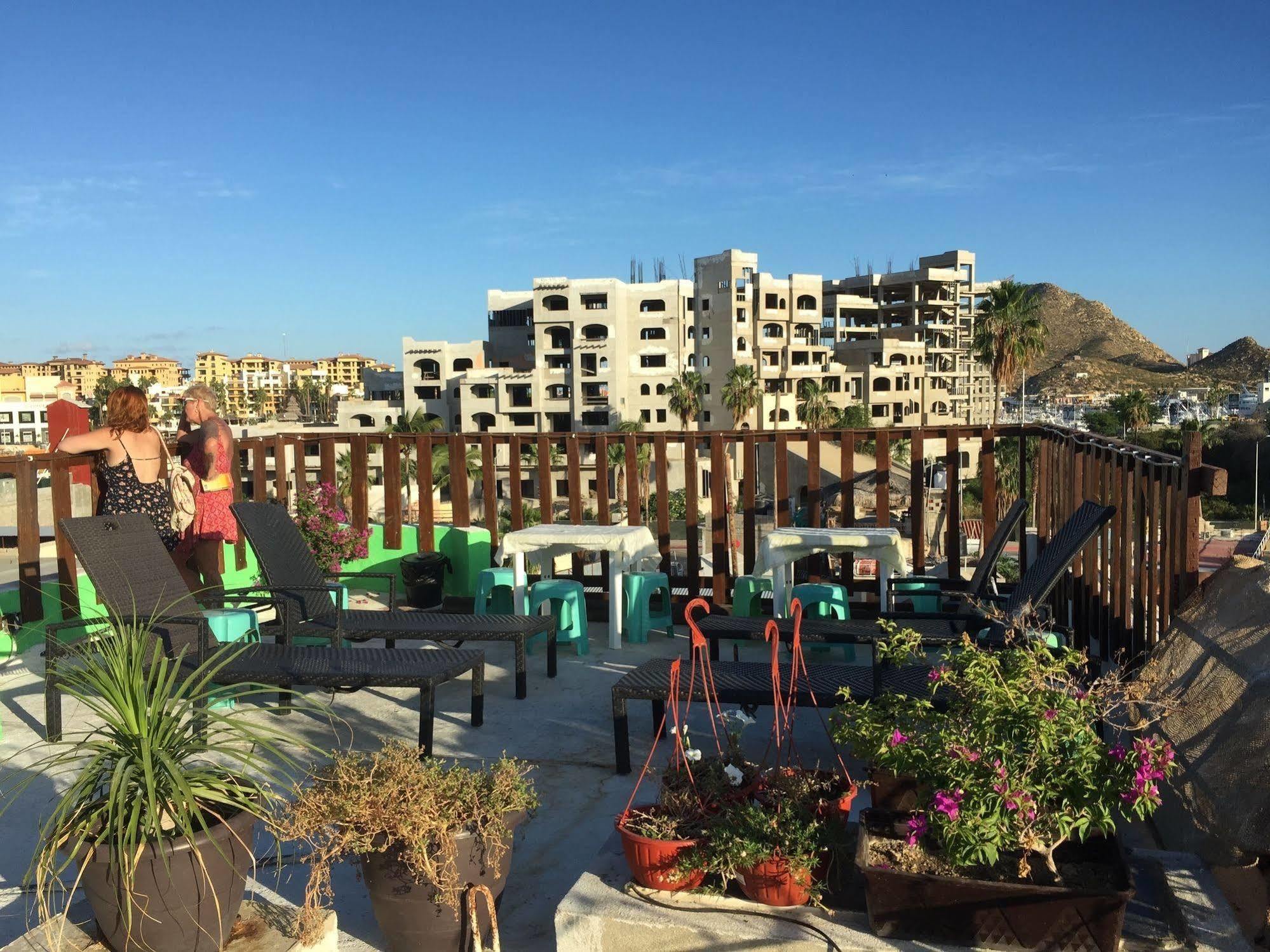 Bajas Cactus Hostel กาโบซานลูกัส ภายนอก รูปภาพ