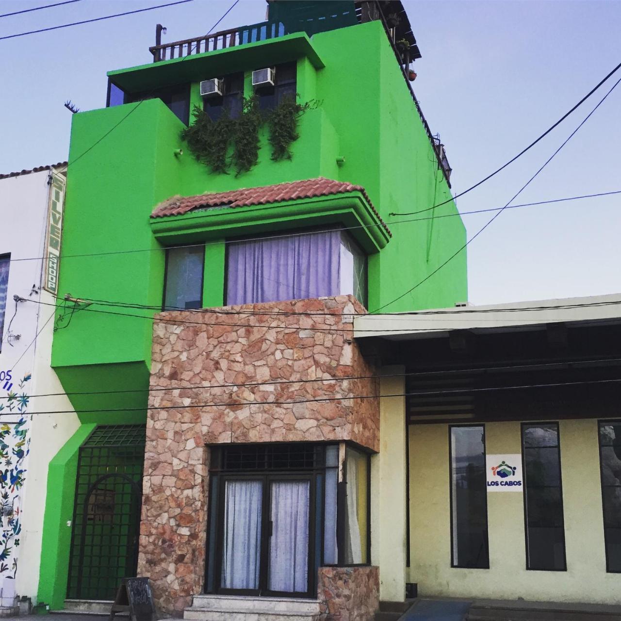 Bajas Cactus Hostel กาโบซานลูกัส ภายนอก รูปภาพ