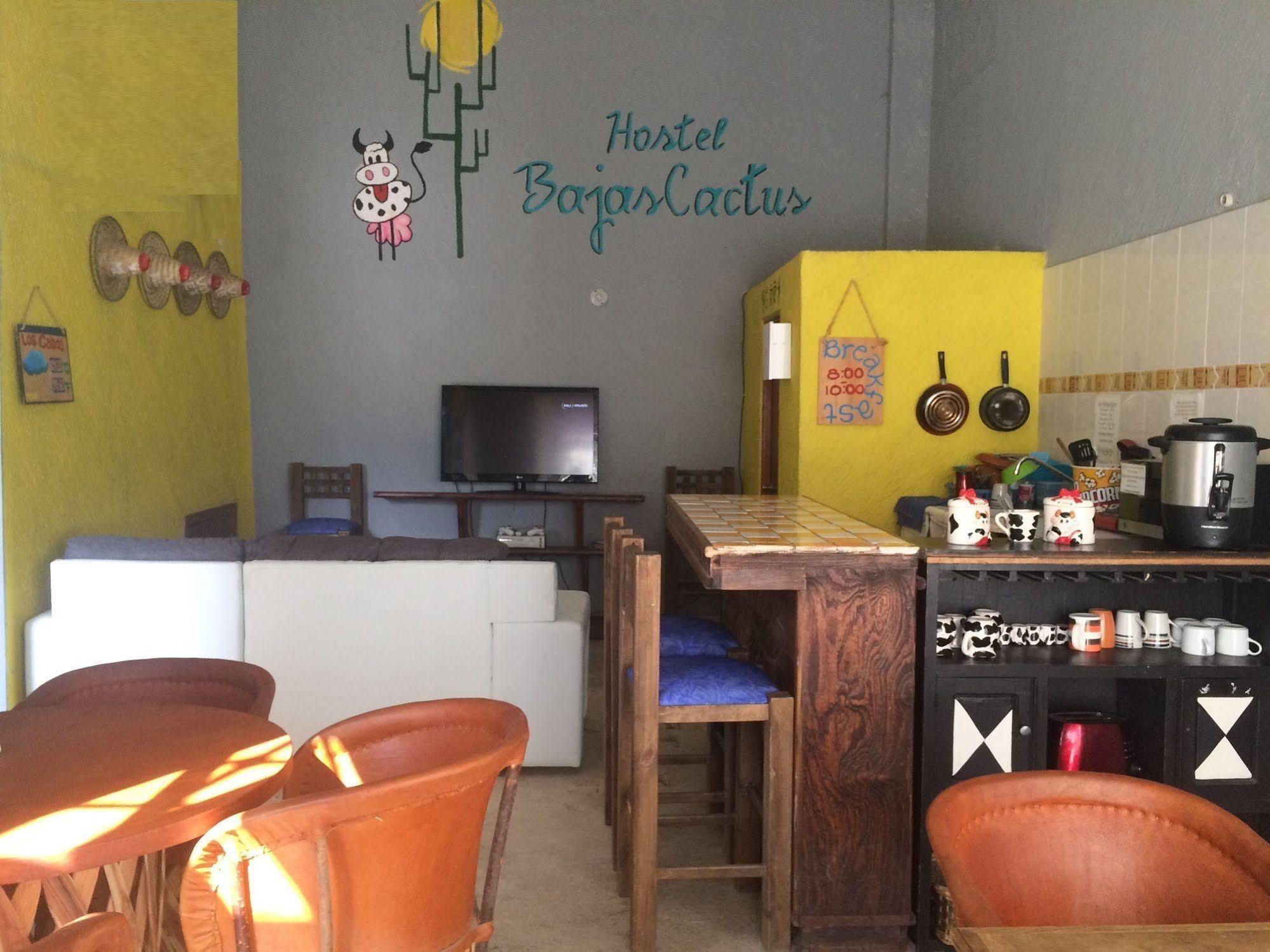 Bajas Cactus Hostel กาโบซานลูกัส ภายนอก รูปภาพ