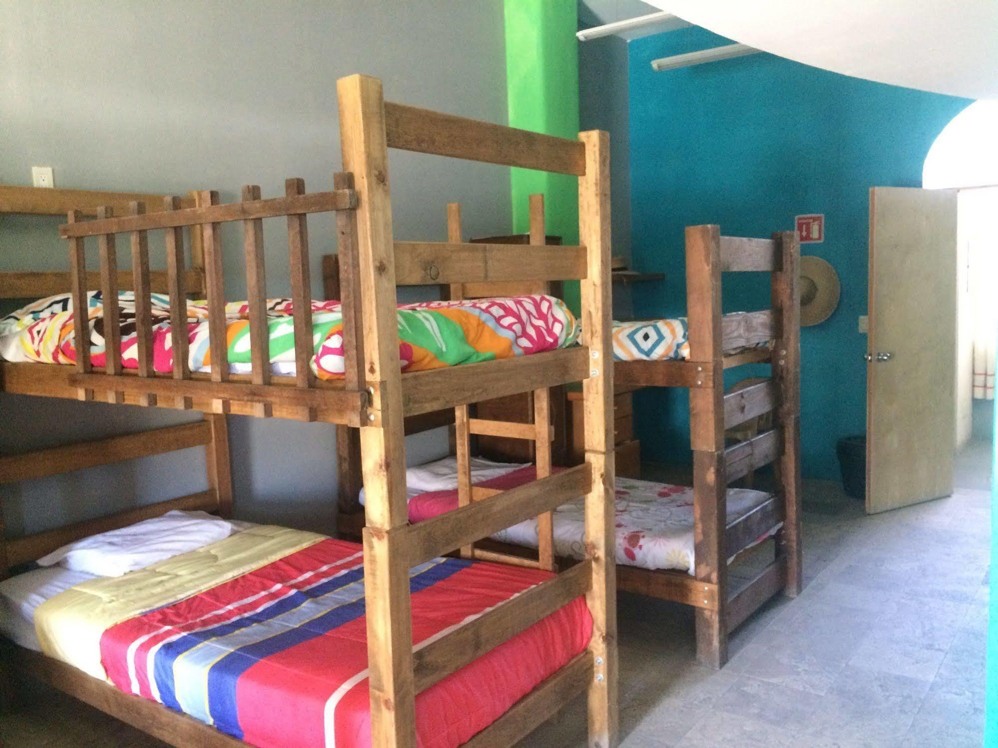 Bajas Cactus Hostel กาโบซานลูกัส ภายนอก รูปภาพ