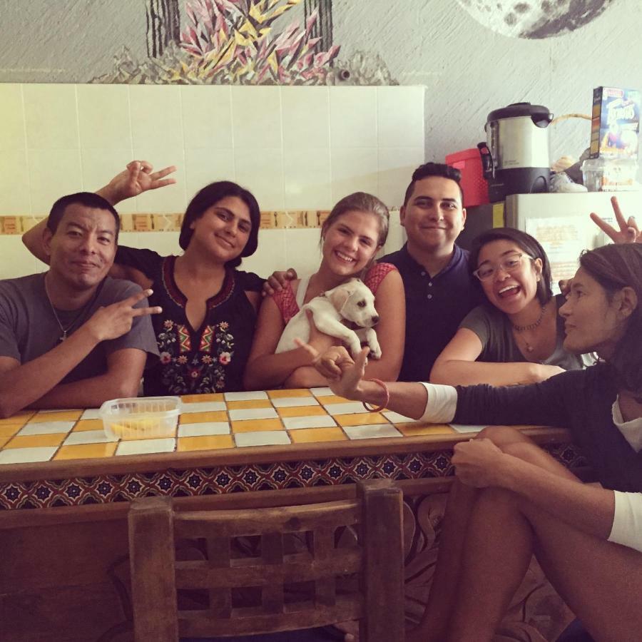 Bajas Cactus Hostel กาโบซานลูกัส ภายนอก รูปภาพ